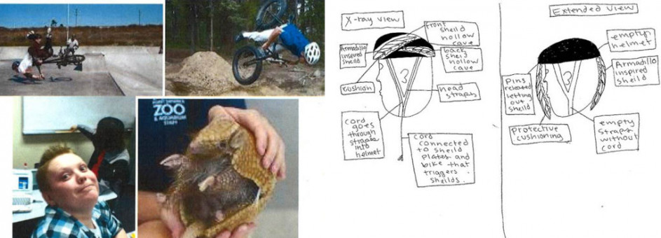 Armadillo Bike Helmet