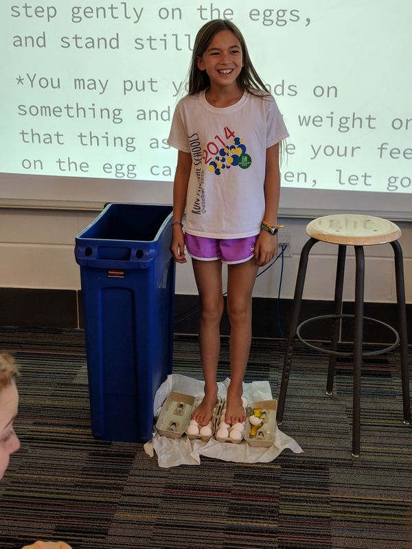 Students explore the strength of eggs to understand the value of curves in designing weight-bearing structures.